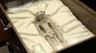 DNA of Mexico's alien corpses matches not to 'humans' but to 'unknown species': analyst